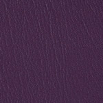Color Guard Purple Iris